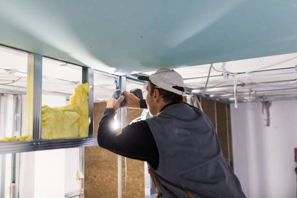 Best Insulation Installation Services in Girard, IL