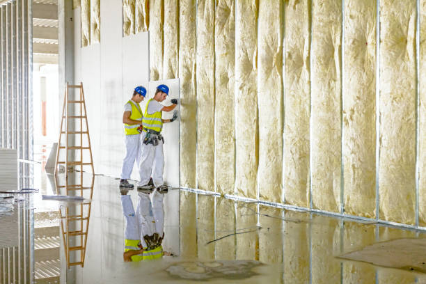 Best Insulation for Specific Applications in Girard, IL